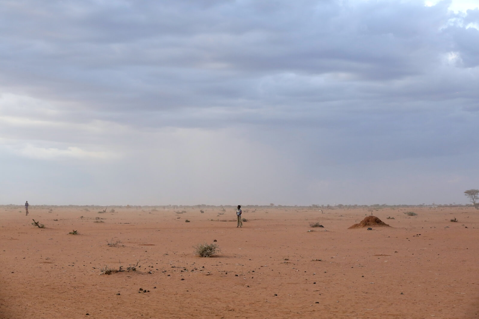 The boy standing in the desert